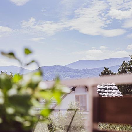 Apartament W Cieplicach Platinium Jelenia Gora Dış mekan fotoğraf